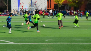 踢足球算文体活动吗？探寻这项运动在文体范畴的归属