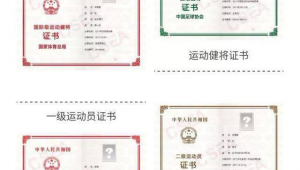 足球等级证有健将吗