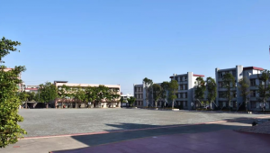 斗门理工是否拥有足球队？真相大揭秘