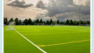 足球场真的那么滑吗?探究其背后的真相与影响因素