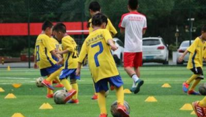 踢足球真的会锻炼智商吗?科学研究为你揭晓答案