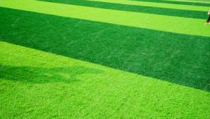 购买足球草皮违法吗？违法会被判几年？