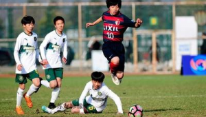 苏宁足球拍照推荐，哪款相机能定格精彩瞬间？