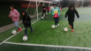 足球队比赛，教练要求高吗？探究背后的真相与影响