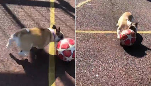 足球比赛中穿裆抢球是否可行及相关规则探讨