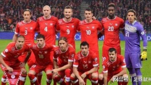 瑞士足球队是强队吗？实力究竟如何，引发诸多探讨