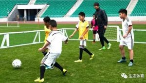 足球培训机构前景几何？探究其发展潜力与挑战