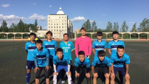 沈阳哪所大学能踢足球联赛,探寻校园足球热情与活力赛场