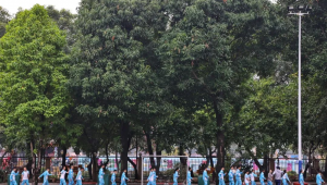 阳康以后可以踢足球吗？这些要点需知晓，助你科学运动