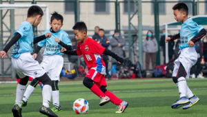 未来足球值得下载吗？深度剖析其价值与风险