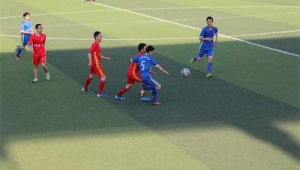 沧州踢足球的人多吗?探寻这座城市的足球热情与活力