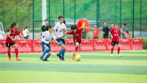 大学足球课值得选吗？全方位解析选足球课的利弊与收获