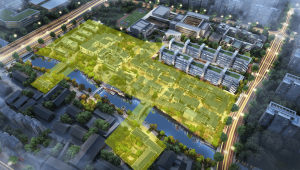 杭州绿城搞足球能赚钱吗？背后收益情况究竟如何？