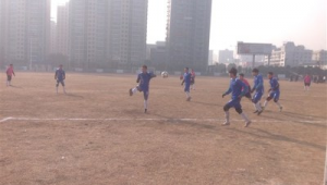 反伍2.5究竟能不能踢足球？性能与实战表现大揭秘