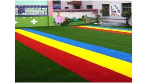 有真草足球草坪的大学有哪些