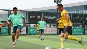 踢职业足球需要文化吗？深度剖析文化因素对职业足球之路的影响