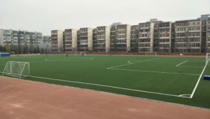 北京最近还有足球场吗