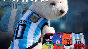 收藏女足球衣违法吗？探究其中法律界限与相关规定