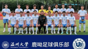 足球联赛是否都是俱乐部参与角逐?