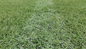 足球职业赛场是否使用假草皮