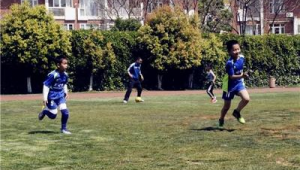 练足球早要看球练习吗？探讨足球练习与看球对提升的影响