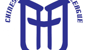 德国人庆祝足球夺冠吗