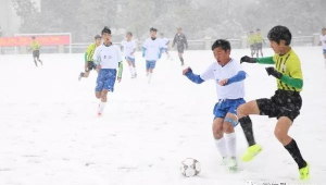 东北踢足球的女性数量多吗？探寻东北足球场上的巾帼身影