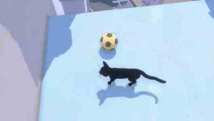 猫咪会打足球吗？背后原因究竟藏着怎样的秘密？