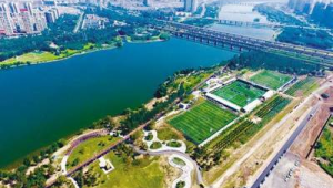 沈阳足球公园免费吗