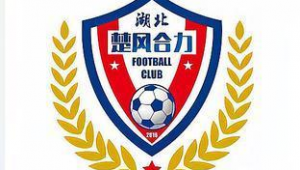 国外足球俱乐部：中性名与否引发思考