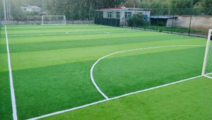 免费足球场能否挣钱？背后隐藏着怎样的商业逻辑与盈利密码？