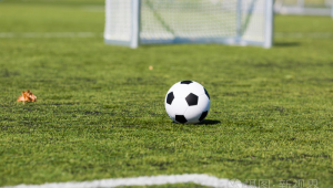 放足球的照片真实性存疑？背后真相待探究