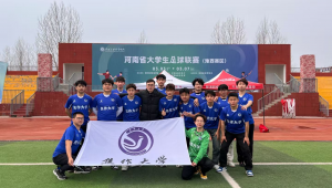 河南职业足球队还有吗？探寻其现状与未来走向