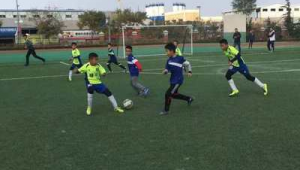 河北足球青训是否收费？揭秘背后的费用真相