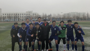 职业比赛的足球硬吗：探究赛场足球的质地与影响因素