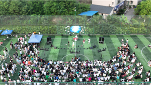 音乐节场地能用足球场吗?一文带你深入探讨可行性