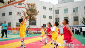 足球与篮球谁更易上手？解析两项运动学习难度差异