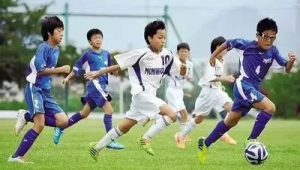 智商高的人是否会选择踢足球？探寻智慧与绿茵场的关联