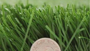 清洁剂能否清洗足球？