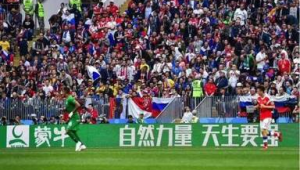 万达足球队哪年退出世界杯