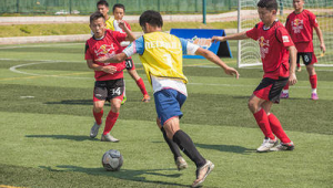 恒大足球学校淘汰后学员去向成谜：未来足球之路在何方？