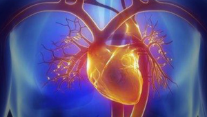 心肌桥患者还能踢足球吗?一文带你深入了解相关情况