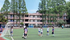 夏天看足球能否带扇子？带你了解观赛清凉小秘诀