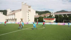 普陀区趣味足球费用几何？高不高引关注