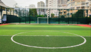 运动公园足球场免费吗？真相究竟如何，快来一探究竟！