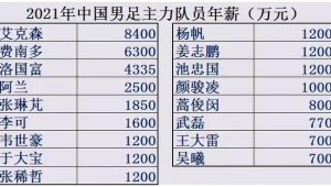 足球工资是年薪还是月薪？解析足球运动员薪资支付方式
