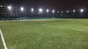 浦东足球场噪音大吗？现场真实体验与解析