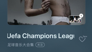 关于你热爱足球吗歌曲歌词引发的情感共鸣或别样思考等具体点的标题