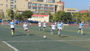 彭州哪里能观看足球赛，这些地方或许能满足你的观赛需求