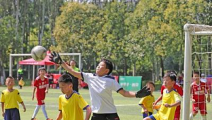 踢球属于足球技术吗